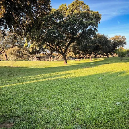 Villa La Encina Guapa Casa Rural 20,000m2 De Intimidad