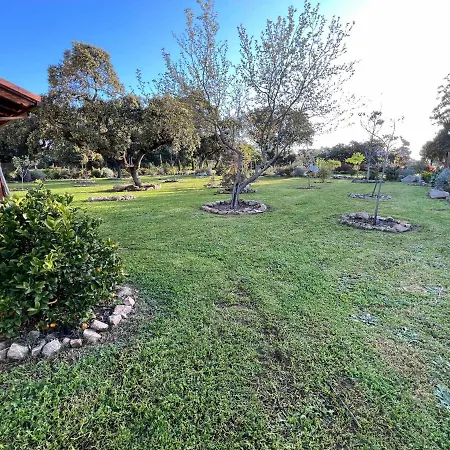 La Encina Guapa Casa Rural 20,000m2 De Intimidad