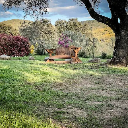 La Encina Guapa Casa Rural 20,000m2 De Intimidad